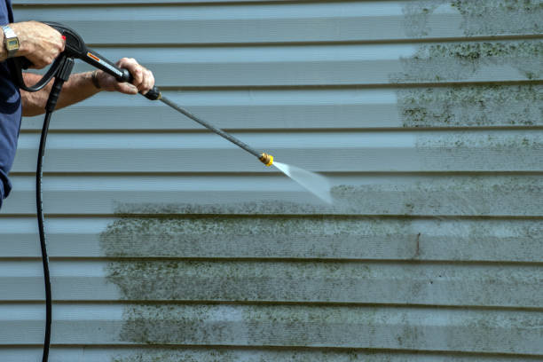 Local Pressure Washing Services in Oak Lawn, IL