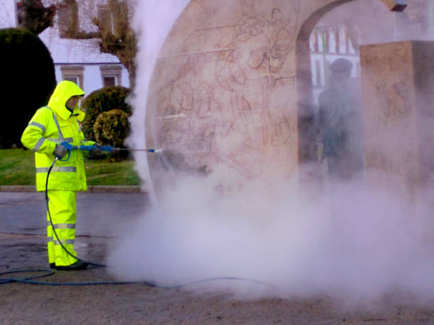 Best Sidewalk Pressure Washing  in Oak Lawn, IL