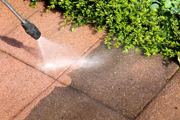Best Deck Cleaning Services  in Oak Lawn, IL